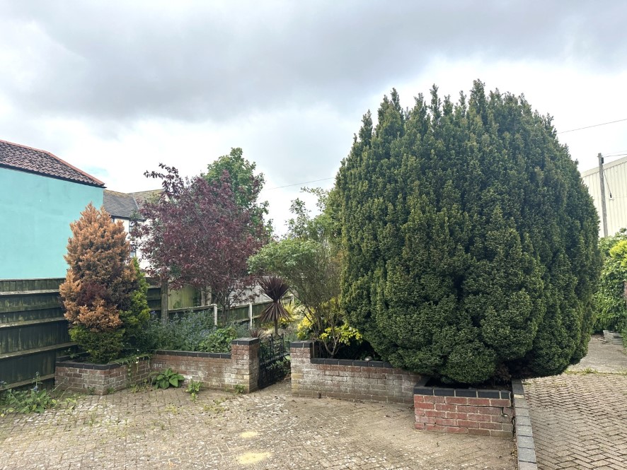 Lot Image