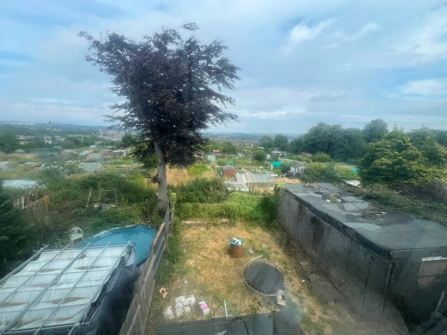 Lot Image