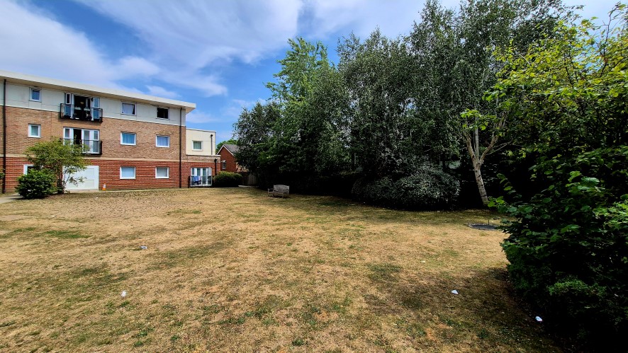 Lot Image