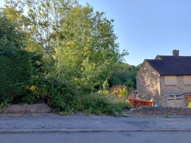 Lot Image