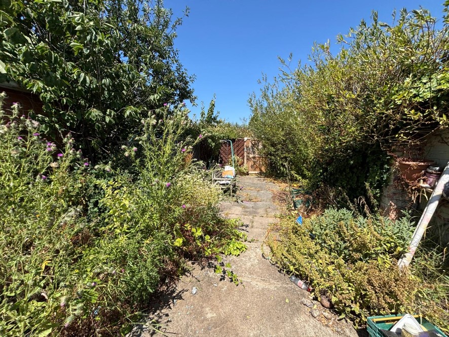 Lot Image