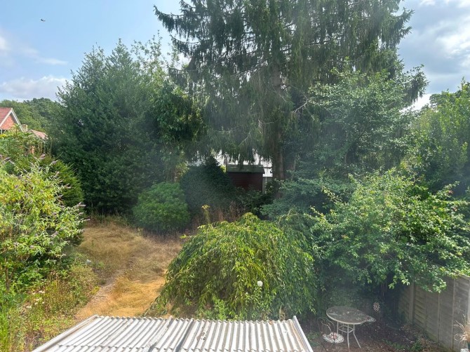 Lot Image