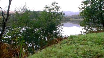 Property for Auction in Scotland - Land at Camus Na Choirk, Strontian, Acharacle, Highland PH36 4HX