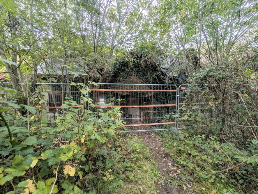 Lot Image