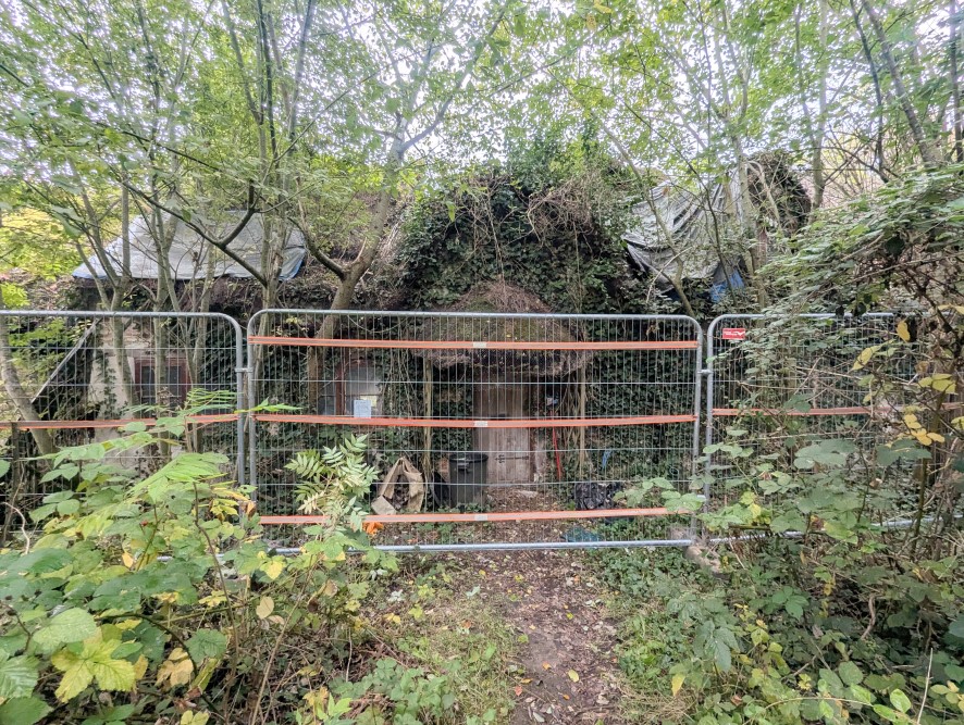 Lot Image