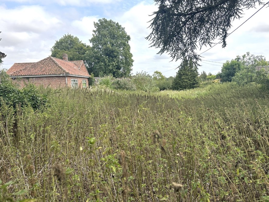 Lot Image