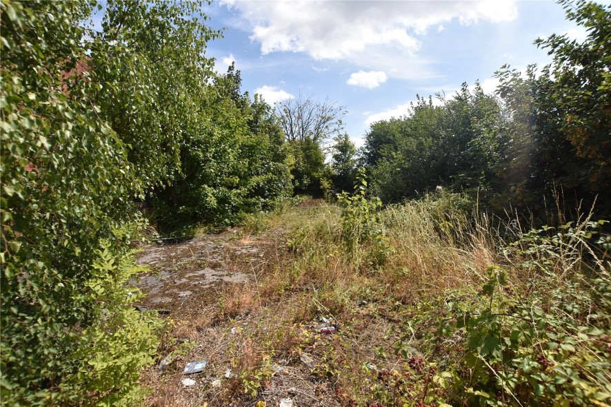 Lot Image