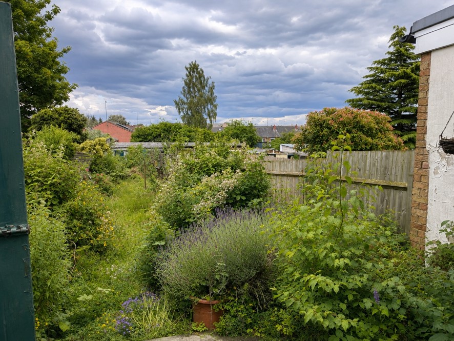 Lot Image