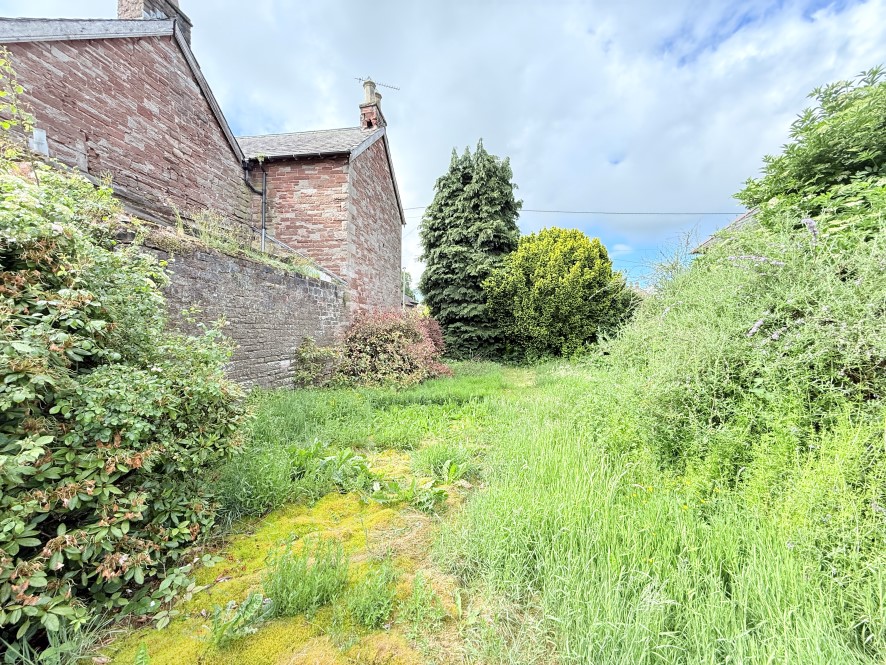 Lot Image