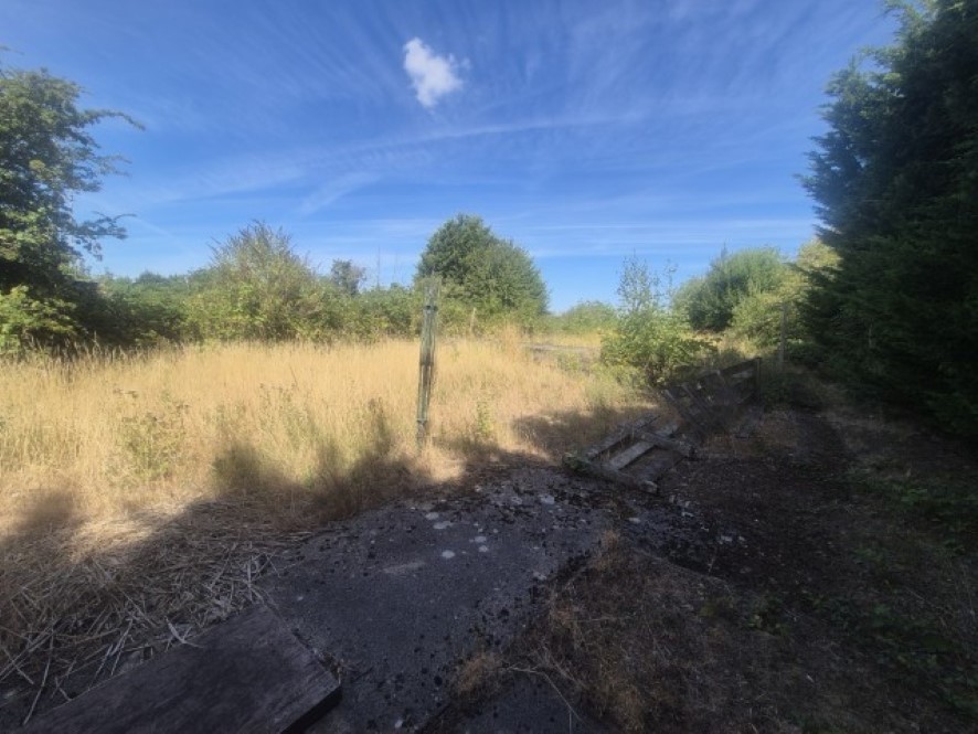 Lot Image