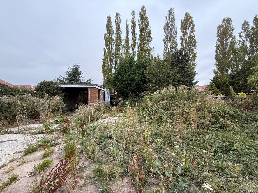 Lot Image