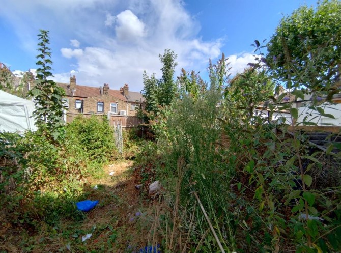 Lot Image