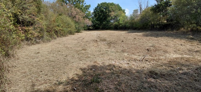 Lot Image