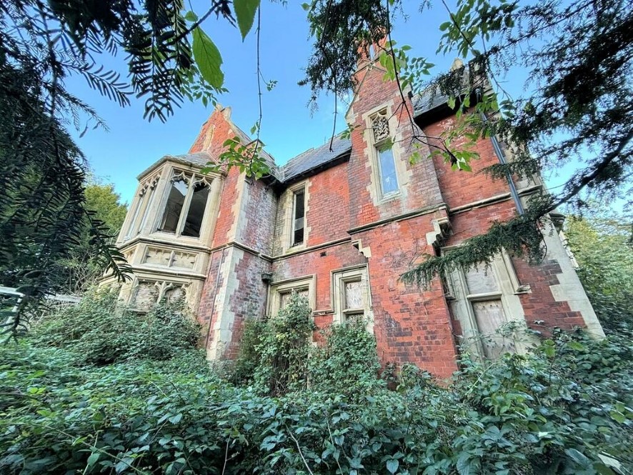 Lot Image
