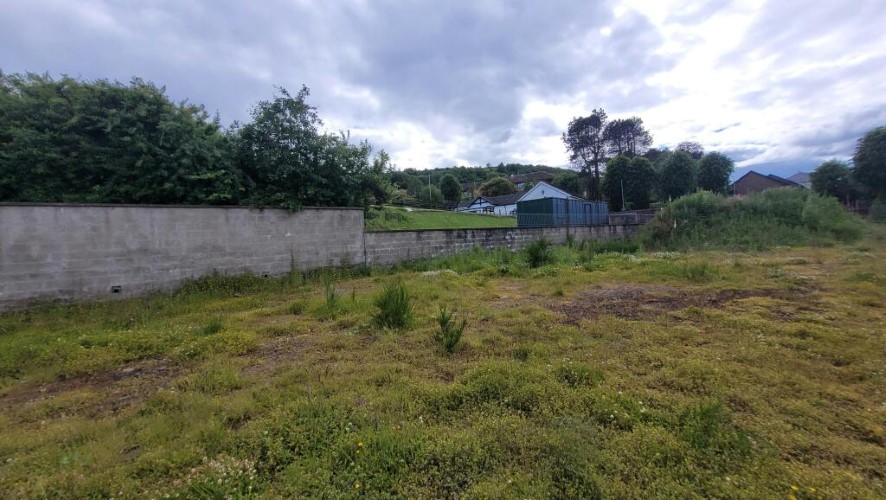Lot Image