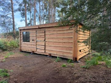 Property for Auction in East Anglia - Woodland and forestry building off, Knettishall Road, Riddlesworth, Norfolk IP22 2TE