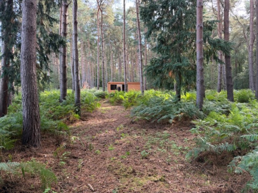 Lot Image