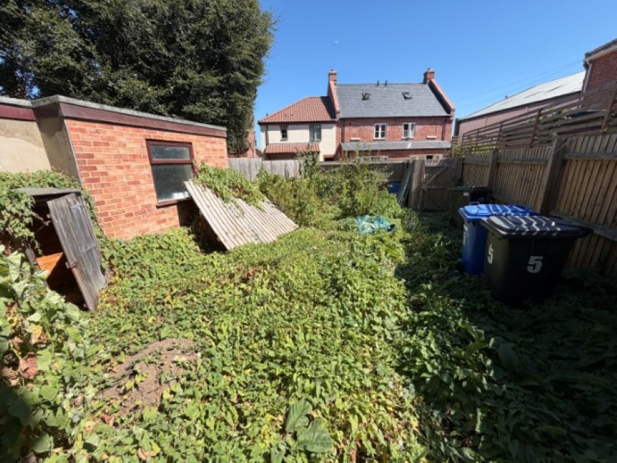 Lot Image