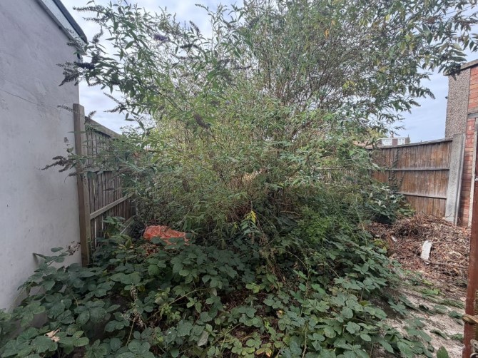 Lot Image