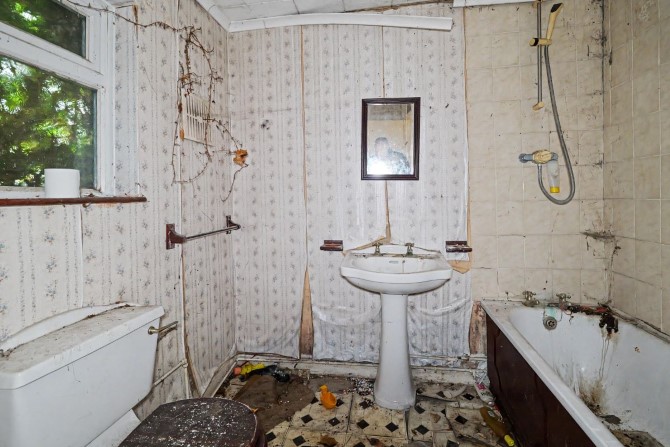 Lot Image