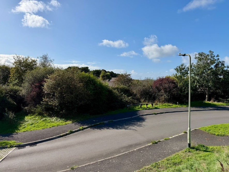 Lot Image