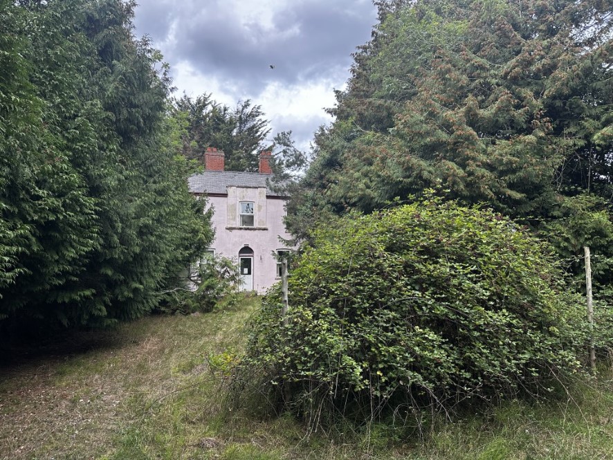 Lot Image