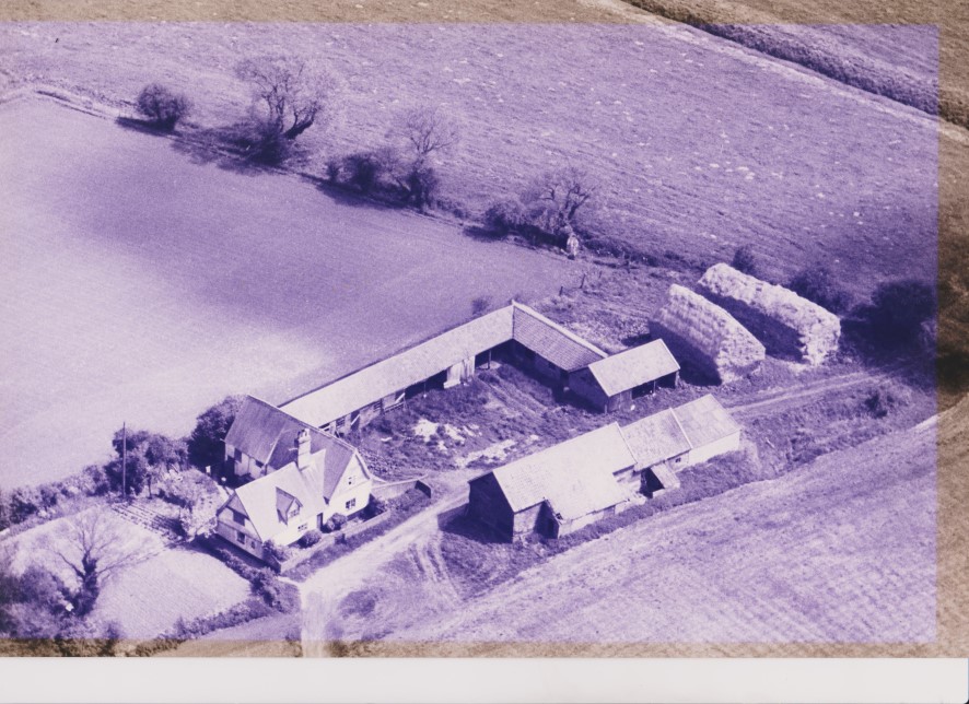 Lot Image