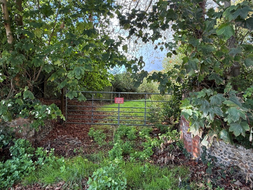Lot Image