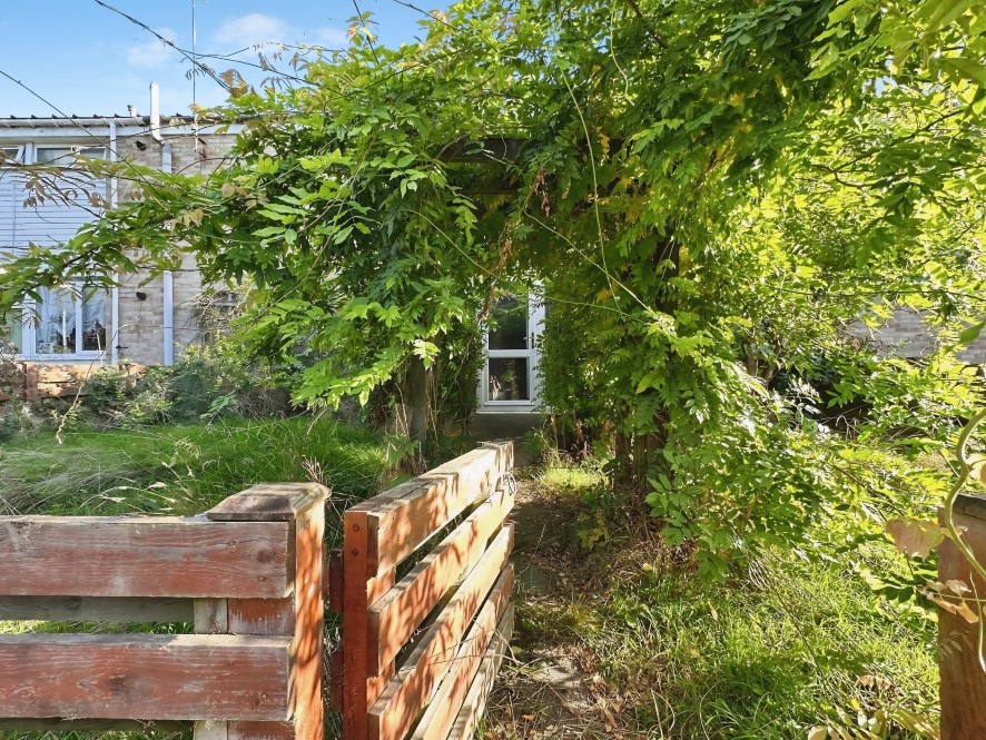 Lot Image