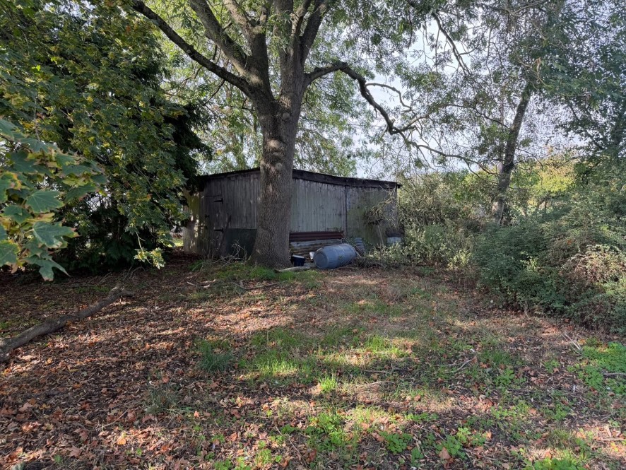 Lot Image