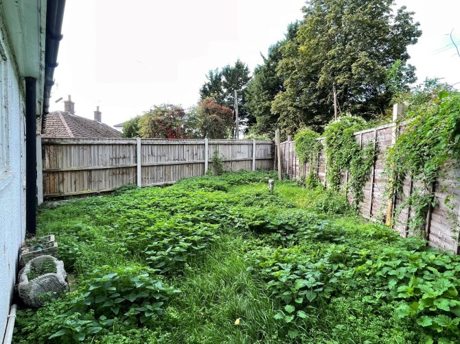 Lot Image