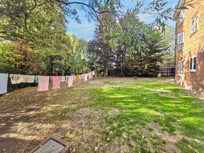 Lot Image