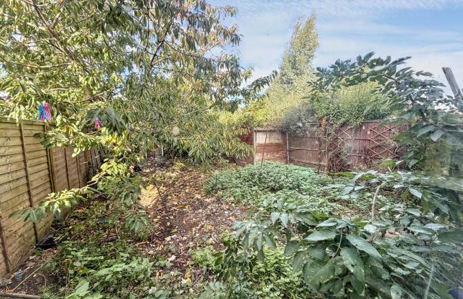 Lot Image