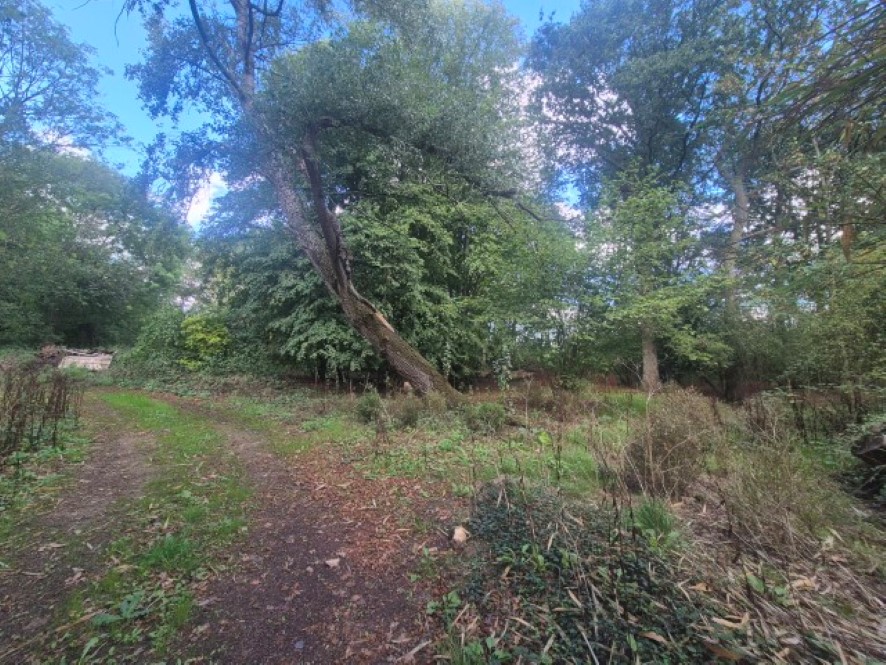 Lot Image